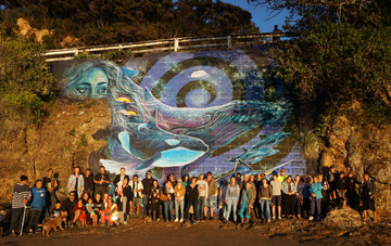 Paihia Sea Wall Mural