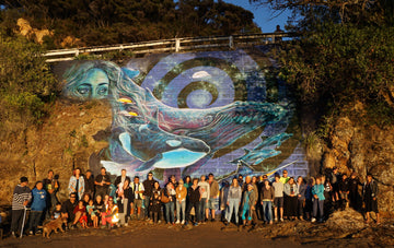 Projects - Paihia Sea Wall Mural